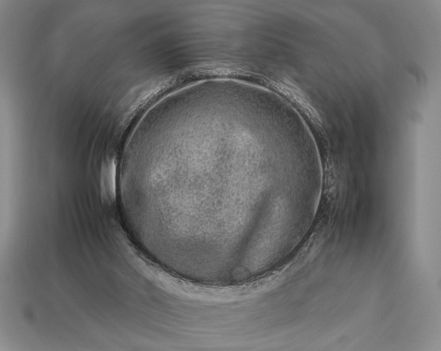 X0000113260014200909241532