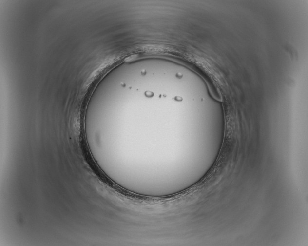 X0000113260015200909241532