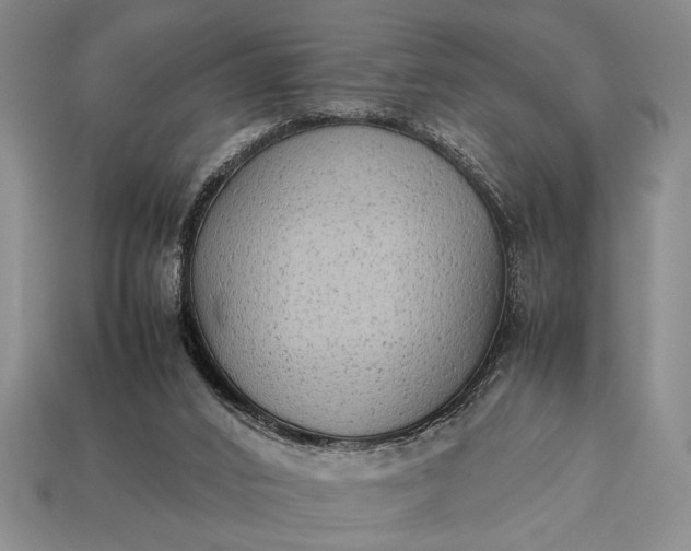 X0000113260016200909241532