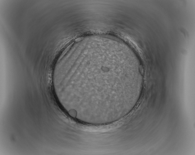 X0000113260017200909241532