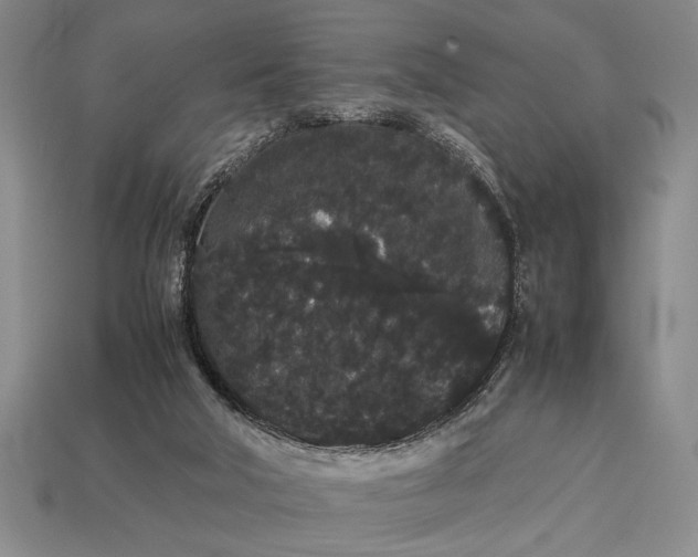 X0000113260018200909241532