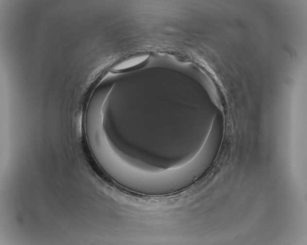 X0000113260019200909241532