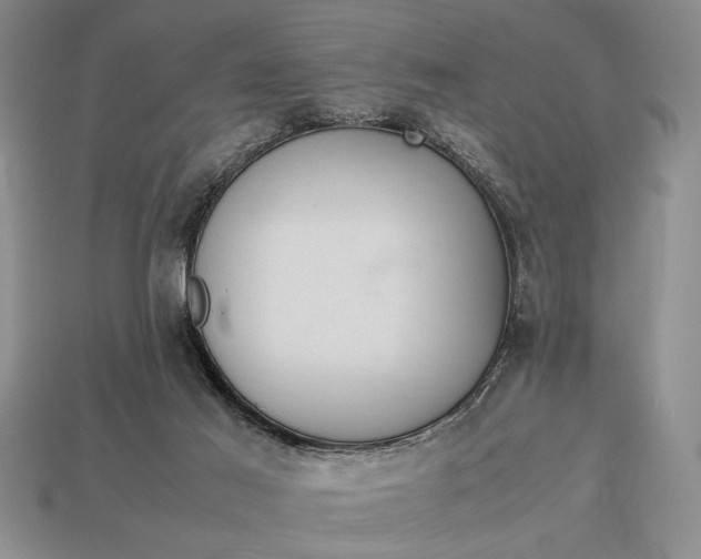 X0000113260021200909241532