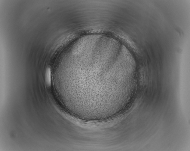 X0000113260022200909241532