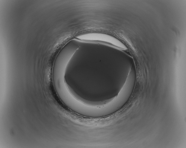 X0000113260023200909241532