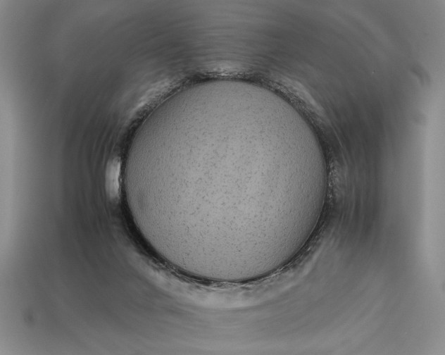 X0000113260024200909241532