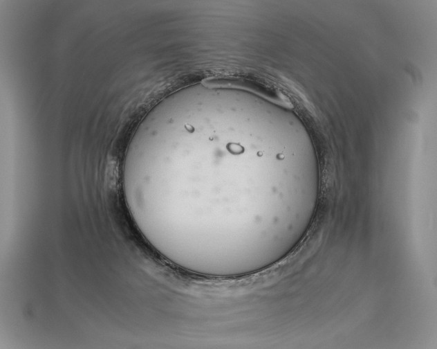 X0000113260025200909241532