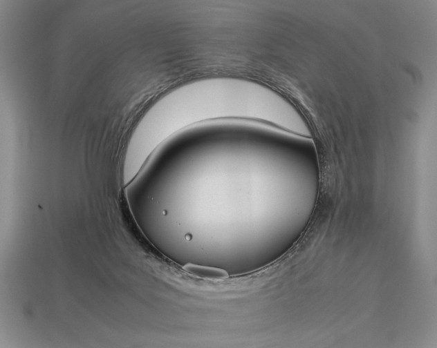 X0000113260027200909241532