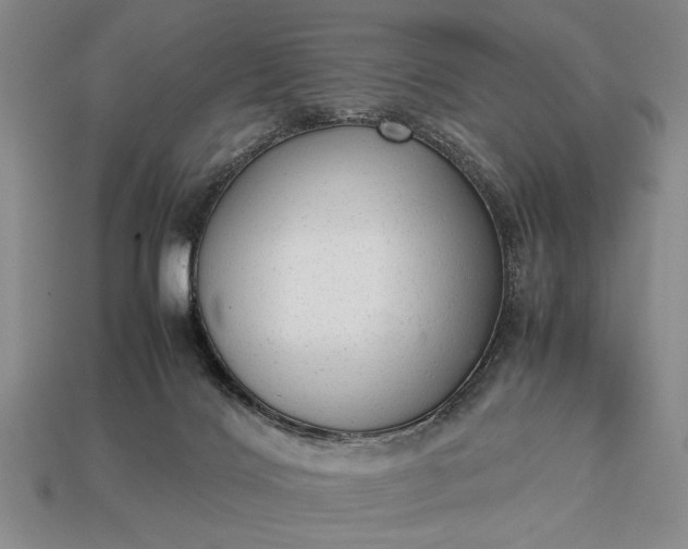 X0000113260028200909241532