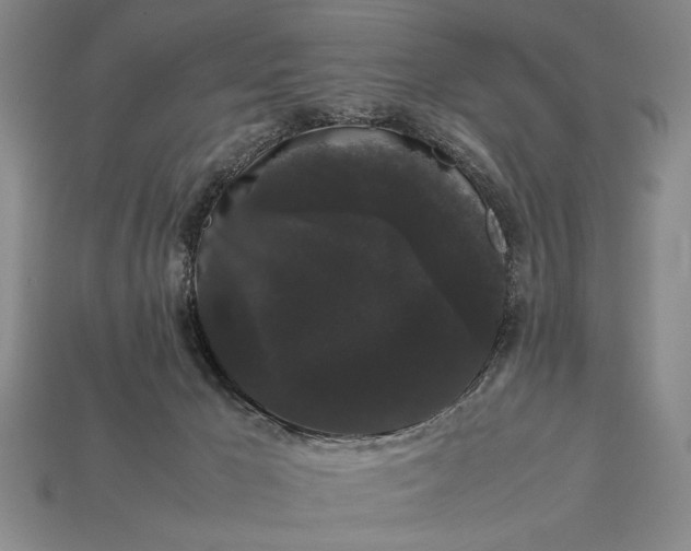 X0000113260029200909241532