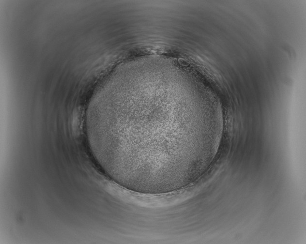 X0000113260030200909241532