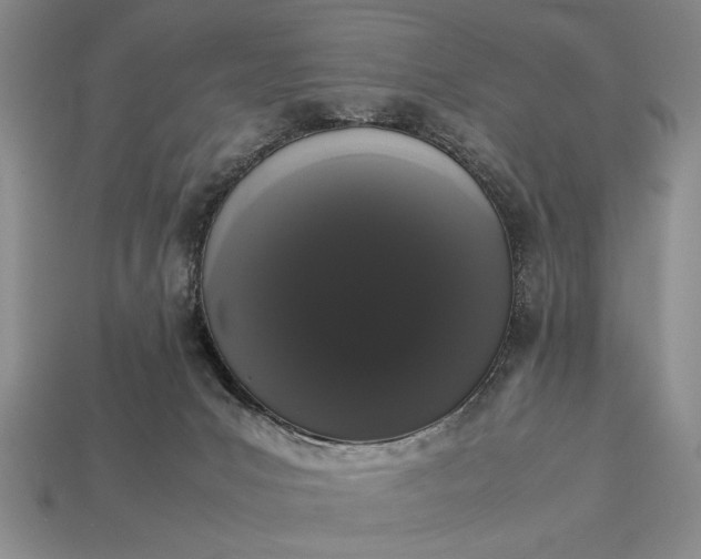 X0000113260031200909241532