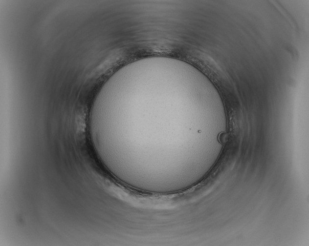 X0000113260032200909241532