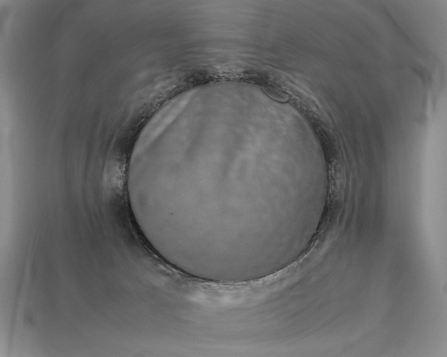 X0000113260033200909241532