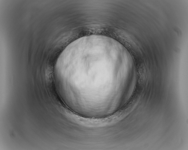 X0000113260034200909241532