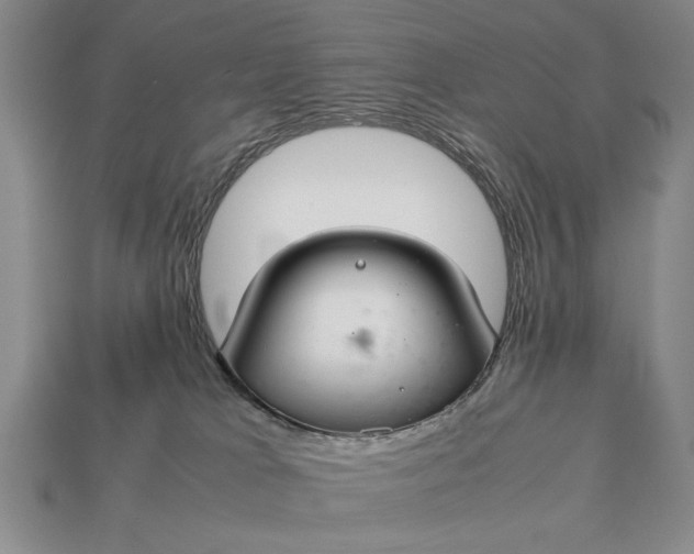 X0000113260037200909241532