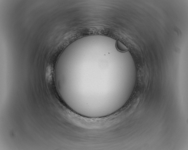 X0000113260038200909241532