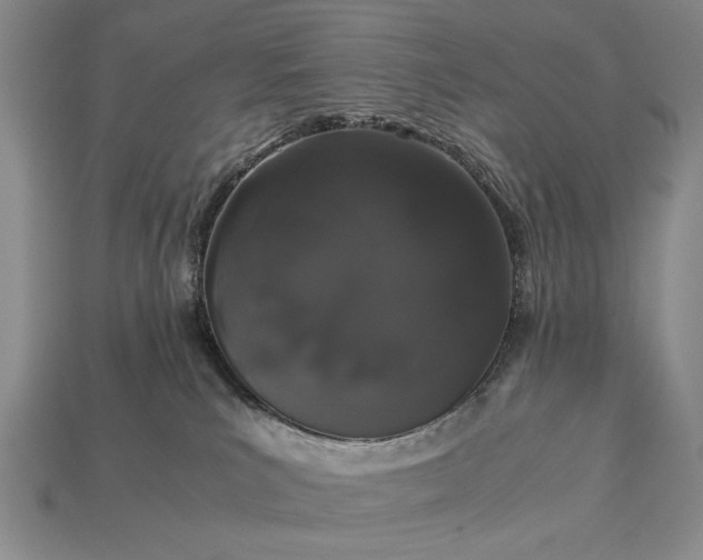 X0000113260039200909241531