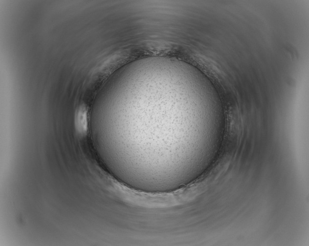 X0000113260042200909241531