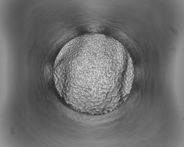 X0000113260043200909241531