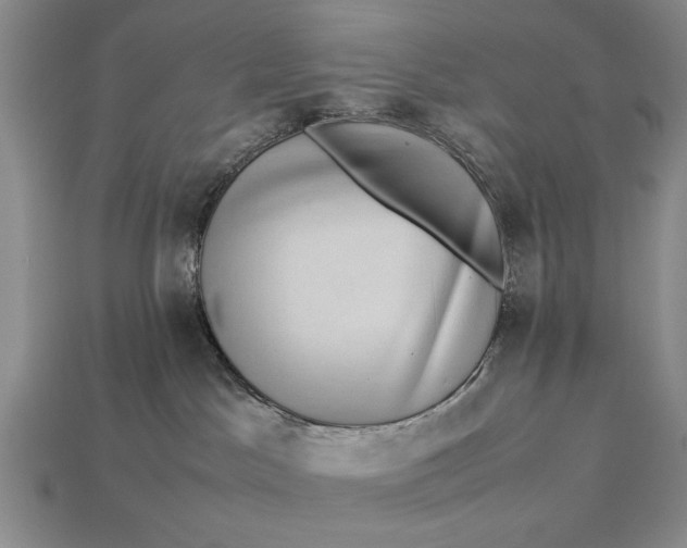 X0000113260045200909241531