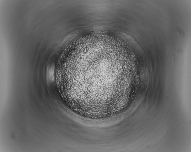 X0000113260046200909241531