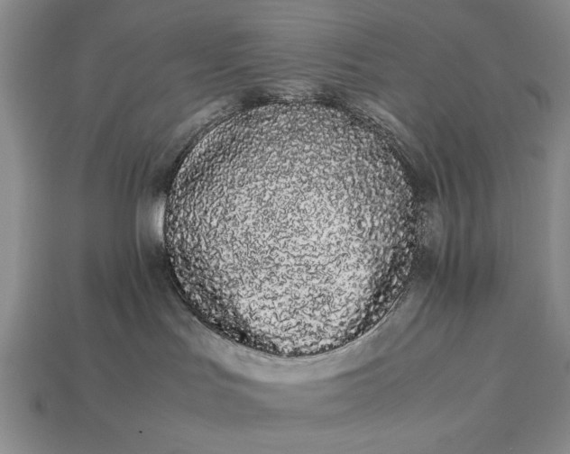 X0000113260047200909241531