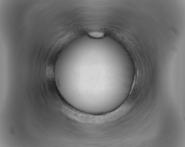 X0000113260048200909241531