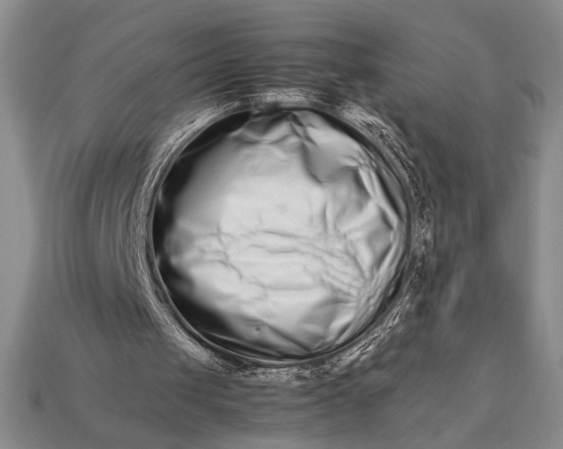 X0000113260049200909241531