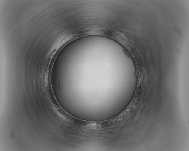 X0000113260050200909241531