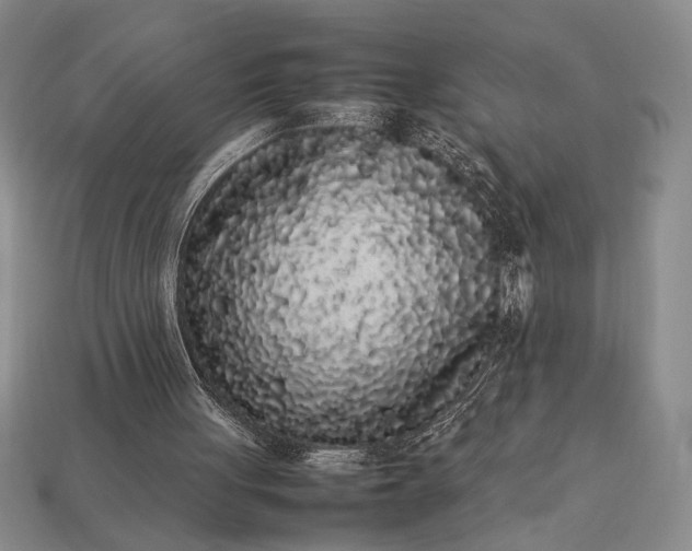 X0000113260051200909241531