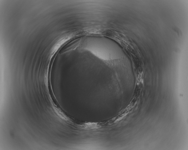 X0000113260052200909241531