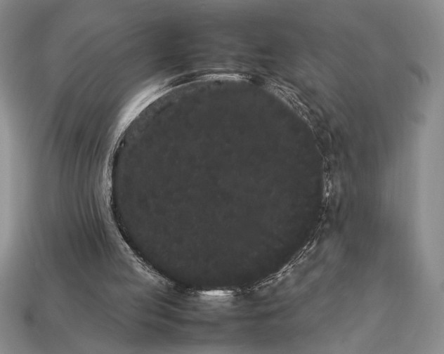 X0000113260053200909241531