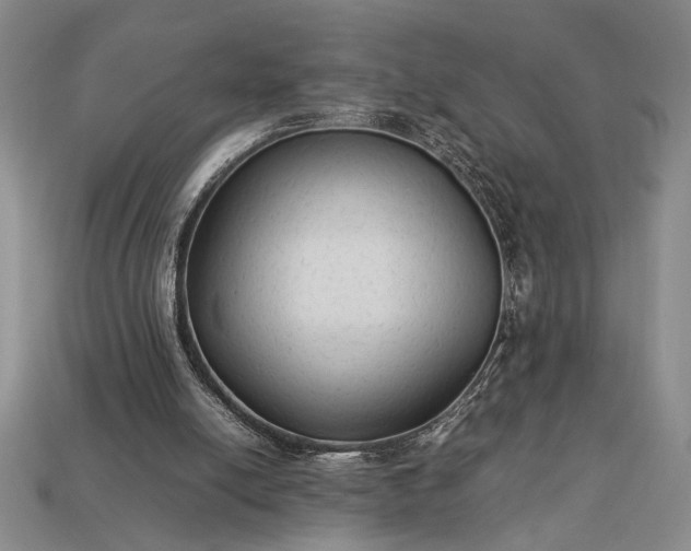 X0000113260054200909241531