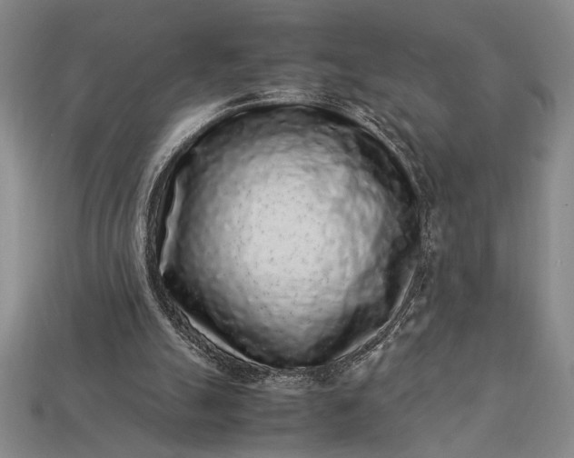 X0000113260055200909241531