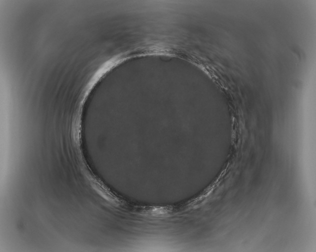 X0000113260056200909241531