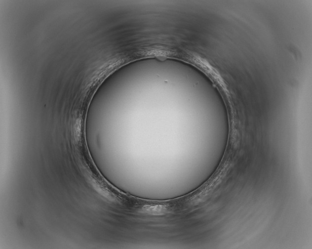 X0000113260057200909241531