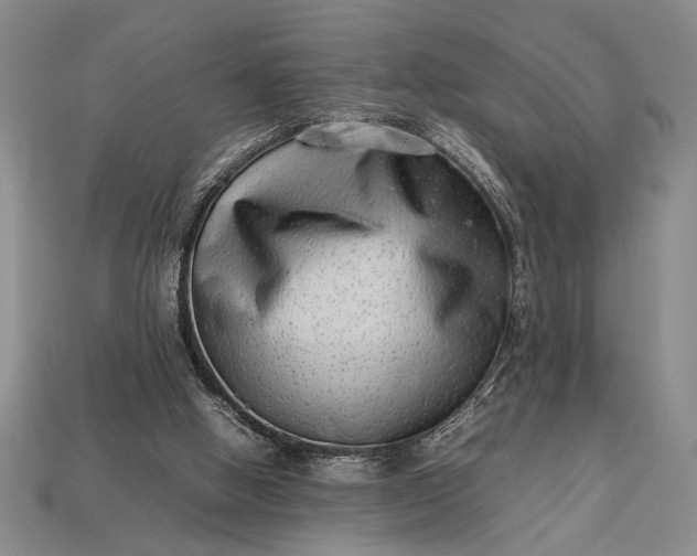 X0000113260058200909241531