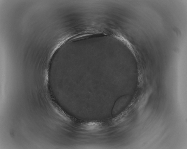 X0000113260059200909241531