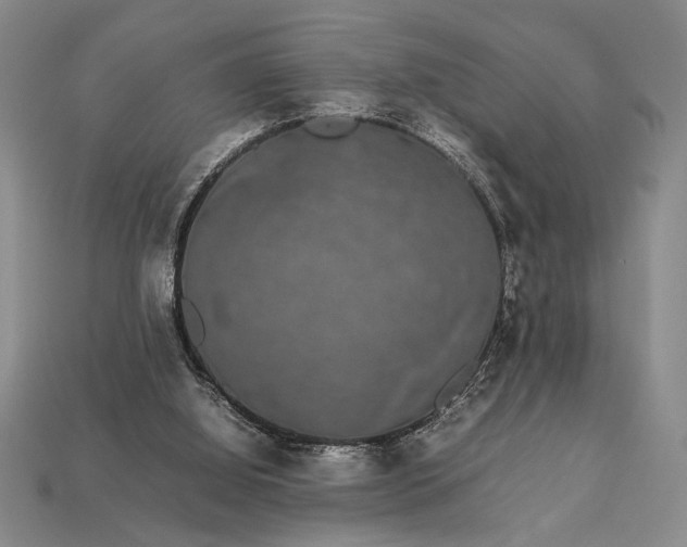 X0000113260060200909241531