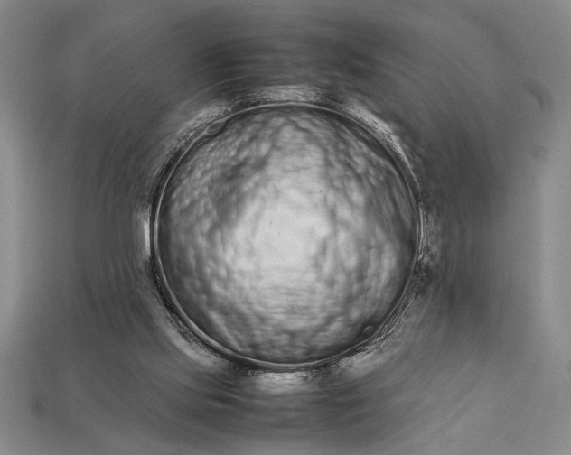 X0000113260061200909241531