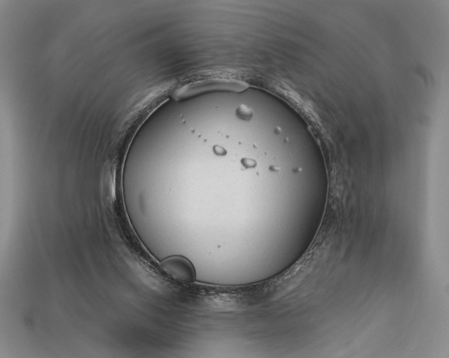 X0000113260062200909241531