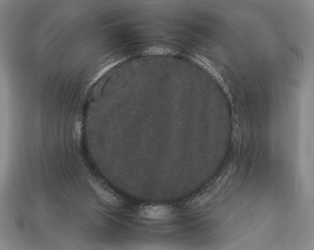 X0000113260063200909241531