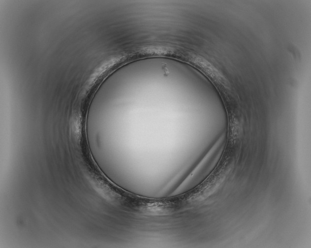 X0000113260064200909241531