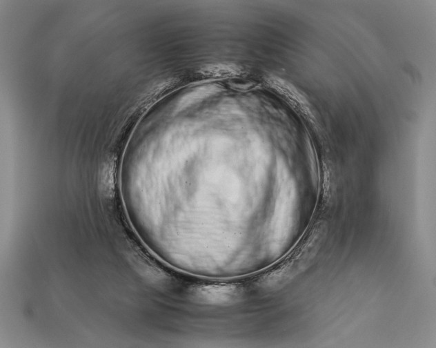 X0000113260065200909241531