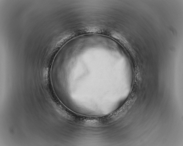 X0000113260066200909241531