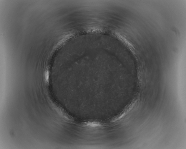 X0000113260067200909241531