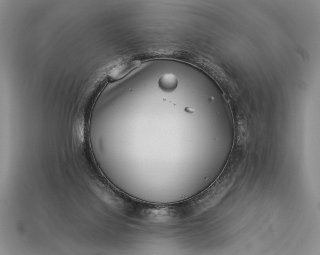 X0000113260068200909241531