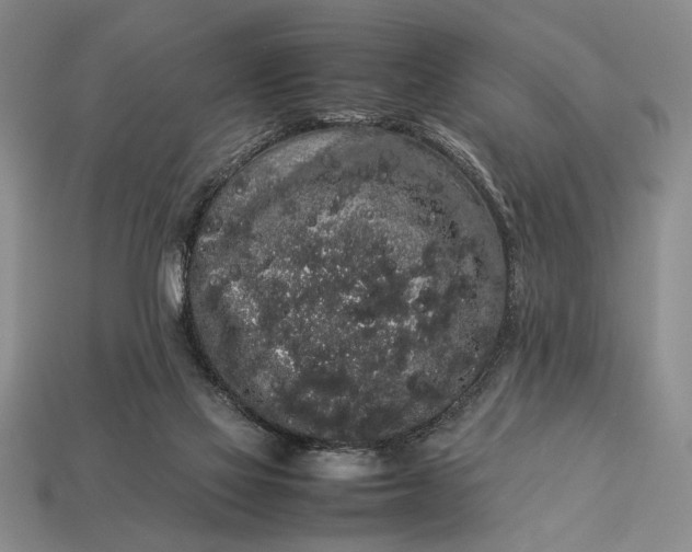 X0000113260069200909241531