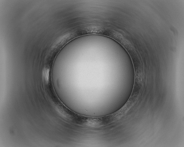 X0000113260070200909241531